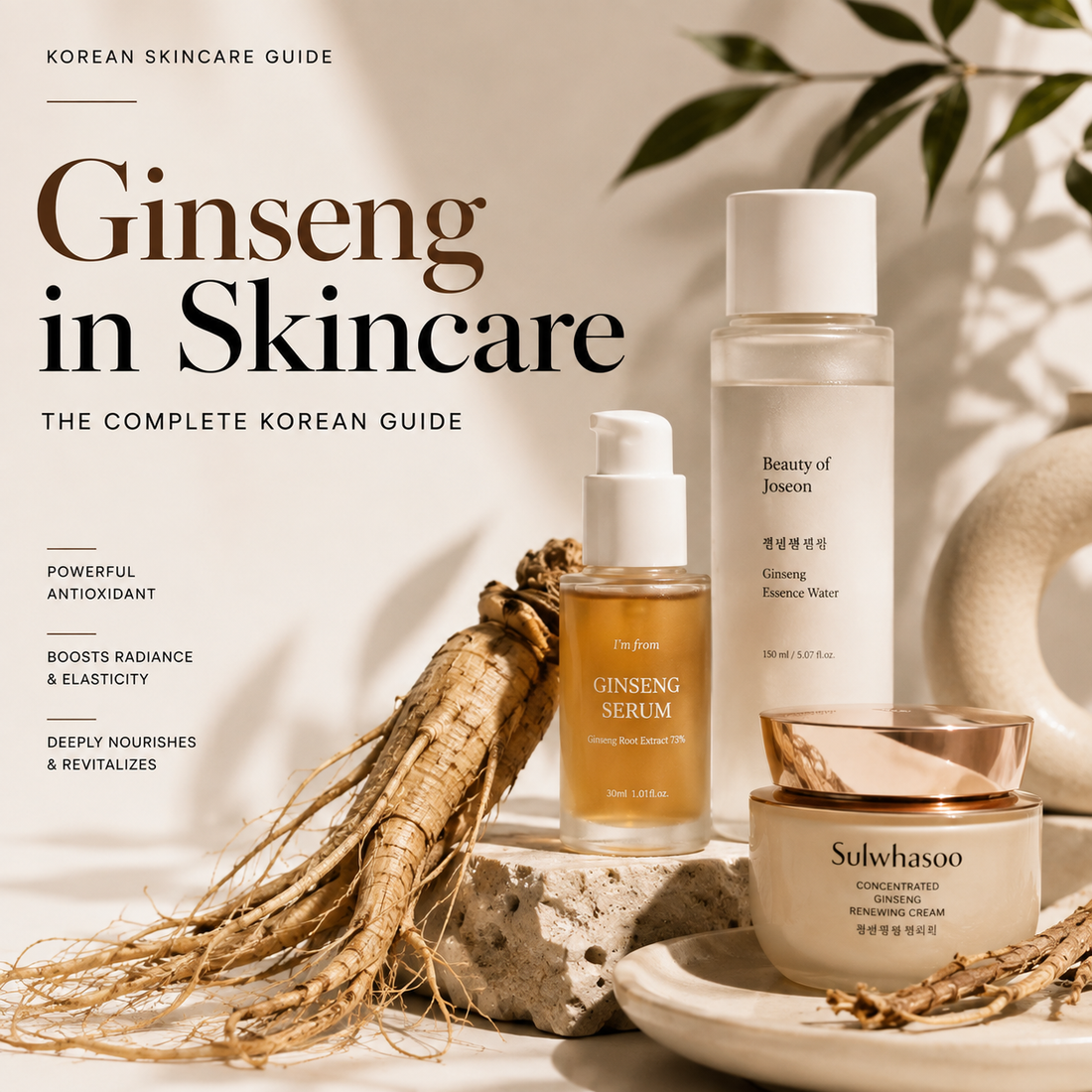 Ginseng in Skincare: The Complete Korean Guide (Benefits, Red Ginseng & Best Products)