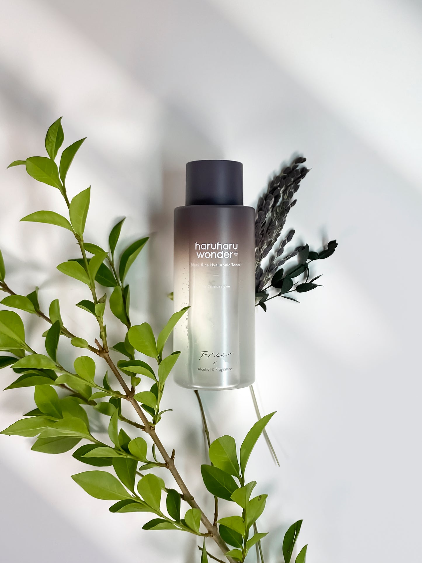 haruharu wonder - Black Rice Hyaluronic Toner for Sensitive Skin