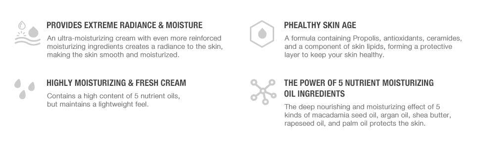 CNP Laboratory - Propolis Ampule Oil-in-Cream 50ml