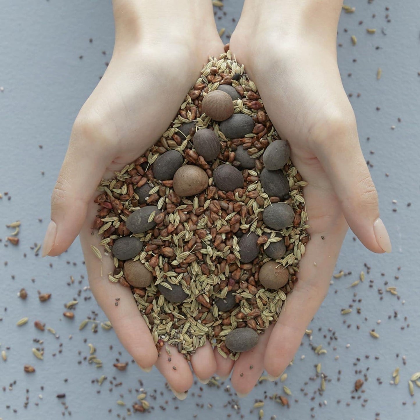 Blithe - Vital Treatment 9 Essential Seeds 150ml