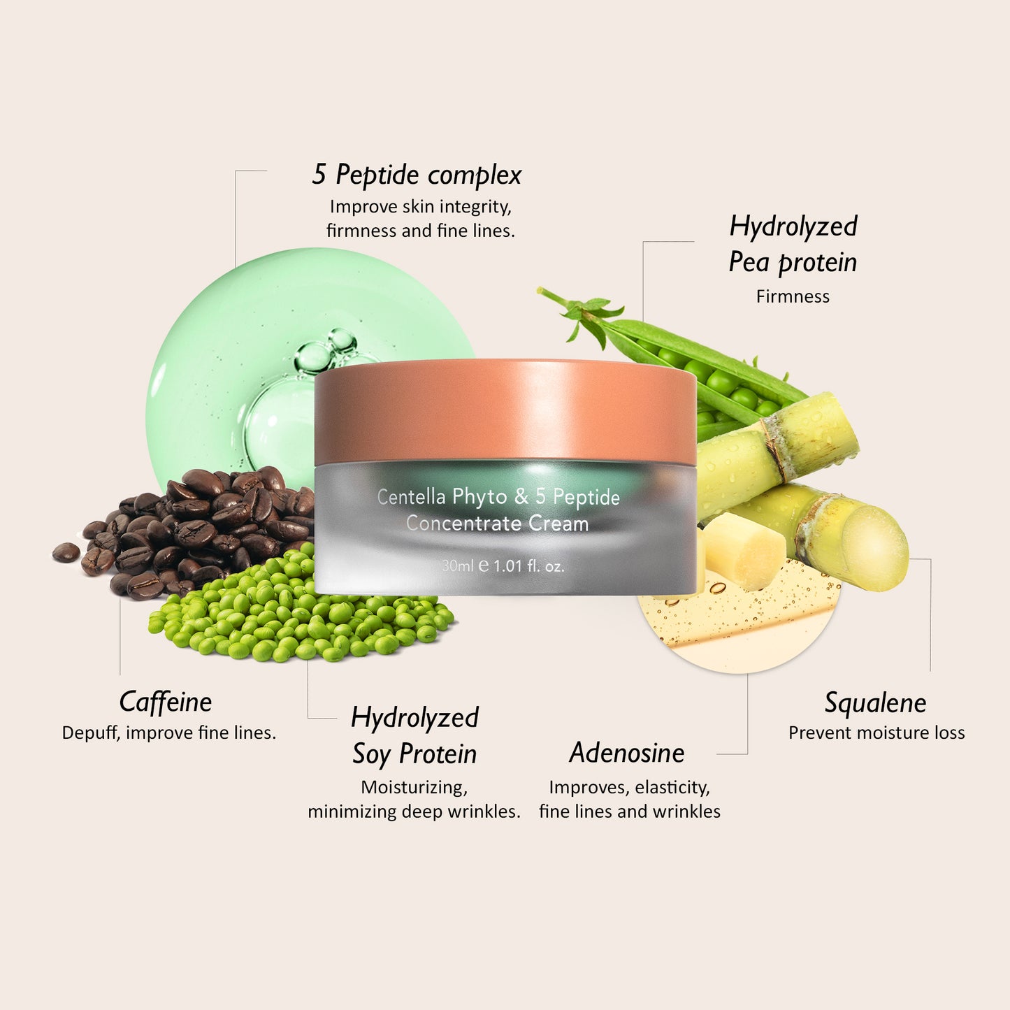 haruharu wonder - Centella Phyto & 5 Peptide Concentrate Cream 30ml + Refill 30ml