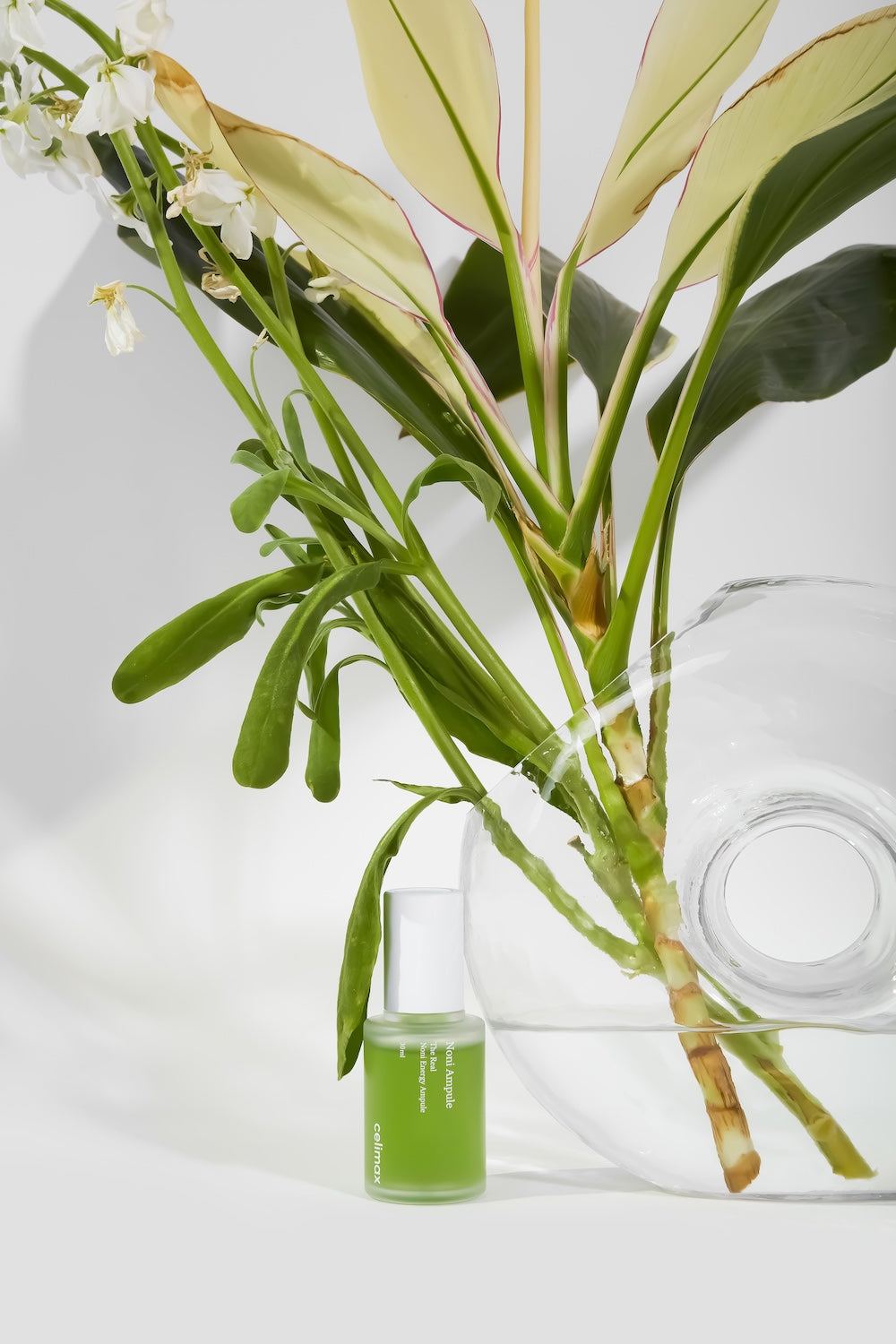 celimax - The Real Noni Energy Ampoule 30ml