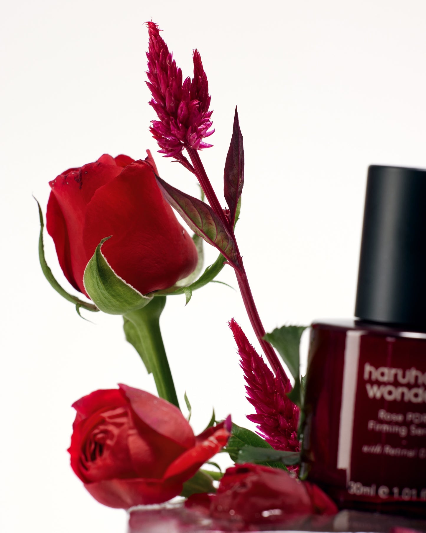haruharu wonder - Rose PDRN Firming Serum 30ml