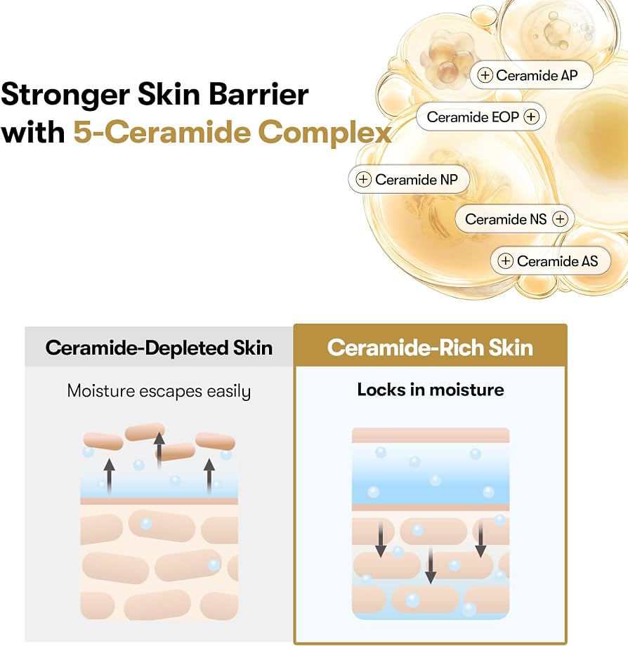 VT Cosmetics - Rice Ceramide Capsule Cream 50ml
