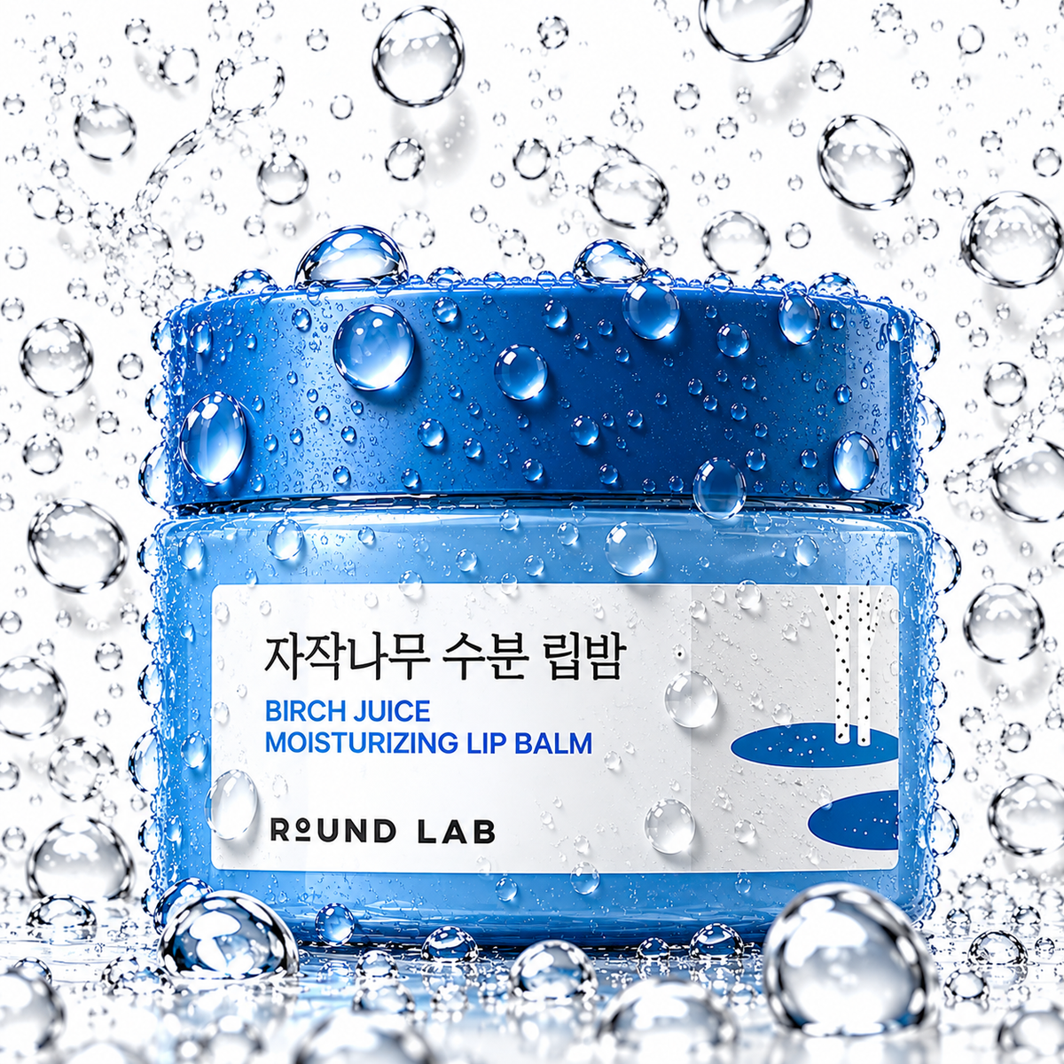 ROUND LAB - Birch Juice Moisturizing Lip Balm 20g