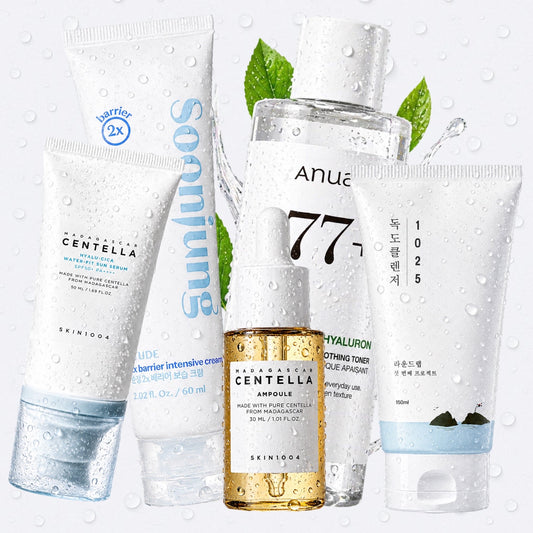 Korean Skincare Routine for Skin Barrier Repair (Anua + SKIN1004 + SoonJung)